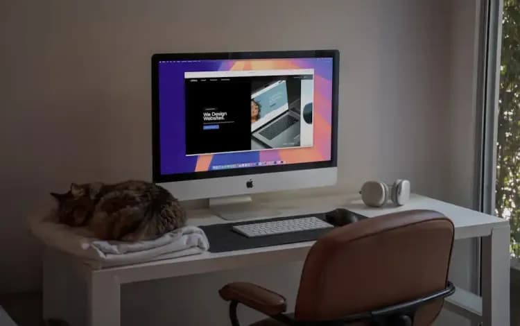 Was kostet eine professionelle Website